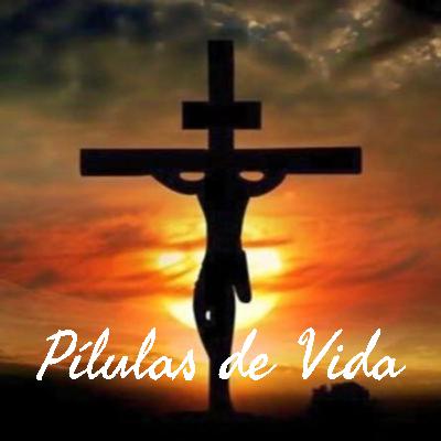 Bispo Católico, Dom Adair, alerta: Esqueçam a Campanha da Fraternidade.