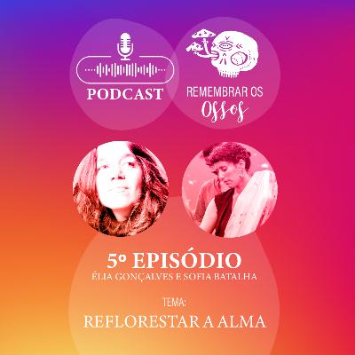 EP.5 - Reflorestar a Alma EP.5 - Reflorestar a Alma