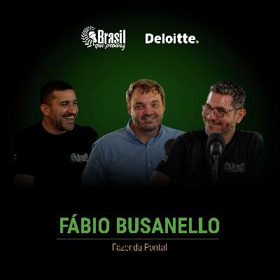 FÁBIO BUSANELLO - FAZENDA PONTAL FÁBIO BUSANELLO - FAZENDA PONTAL
