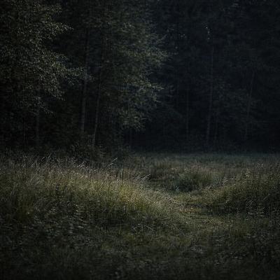 12. Night Crickets for Sleep – 8 Hours