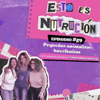 #59 Pequeños animalitos huerfanitos con Amanda Romero #59 Pequeños animalitos huerfanitos con Amanda Romero