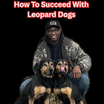 Leopard Tree Dogs... There Is A Learning Curve Leopard Tree Dogs... There Is A Learning Curve