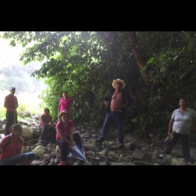 Como esta compuesto el ecosistema en donde actualmente habitó.(Puebla)