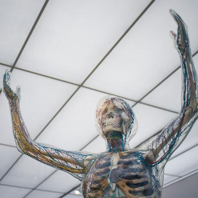 51. Бескультурье - Неврология и антидепрессанты, фуфломицины, иглоукалывание