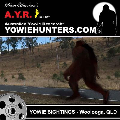 Yowie Sightings at Woolooga, Queensland - 2008 and 2012