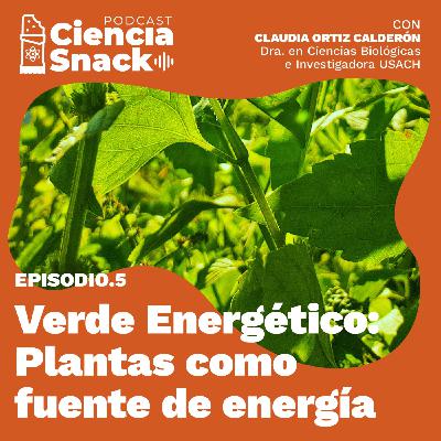 Ciencia Snack | Verde enérgico: plantas como fuente de energía