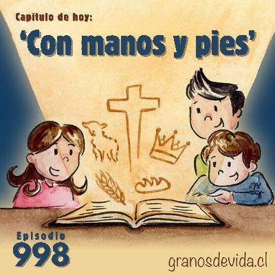 #998 Con manos y pies