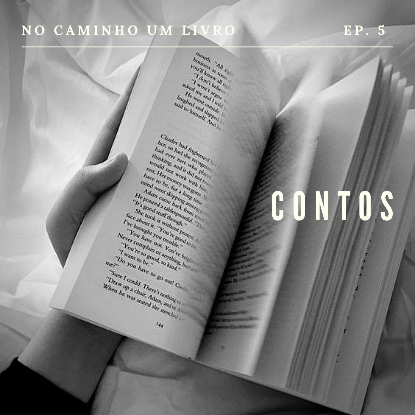 No caminho um livro