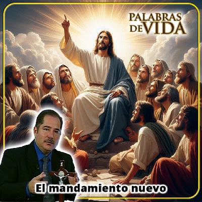 El mandamiento nuevo - Palabras de Vida