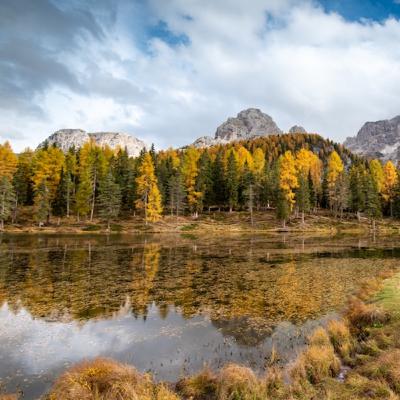 Mercoledì della XXXIV° settimana TO Mercoledì della XXXIV° settimana TO