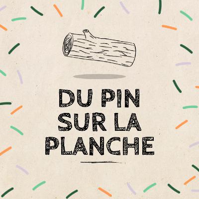 Du Pin sur la Planche : la bande annonce pour découvrir la filière forêt-bois Du Pin sur la Planche : la bande annonce pour découvrir la filière forêt-bois