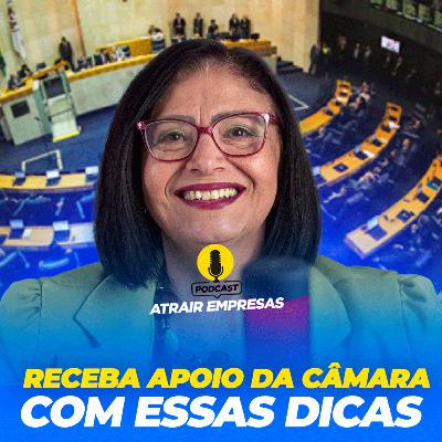 #037 Como convencer a CÂMARA MUNICIPAL a aprovar leis de incentivos para ATRAIR EMPRESAS #037 Como convencer a CÂMARA MUNICIPAL a aprovar leis de incentivos para ATRAIR EMPRESAS