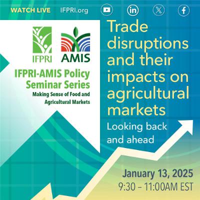 Trade disruptions and their impacts on agricultural markets: Looking back and ahead