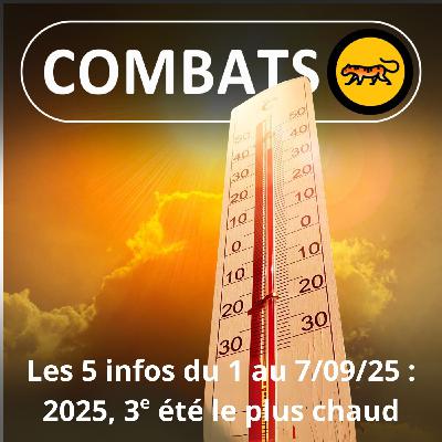 S05E01 Les 5 infos de la semaine : 2025, 3e été le plus chaud en France