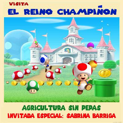 Hongos comestibles: El fascinante mundo champiñon Hongos comestibles: El fascinante mundo champiñon