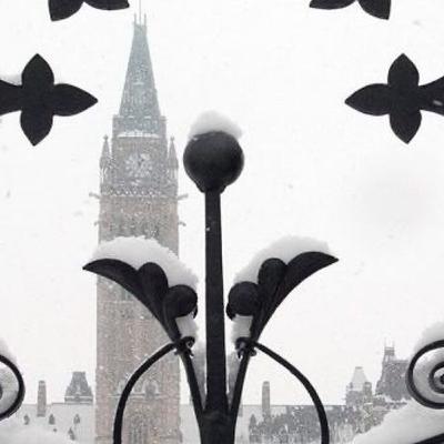 Party for Two - School board trustee controversy - Blacklock's Report - Pierre Poilievre as leader of the Conservative party Party for Two - School board trustee controversy - Blacklock's Report - Pierre Poilievre as leader of the Conservative party