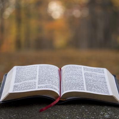 Bible exposite