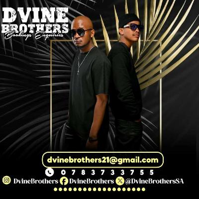 Dvine Brothers-The Groove Box Mix Vol.10