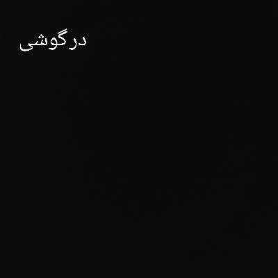 در گوشی