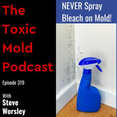 EP 319: NEVER Spray Bleach on Mold