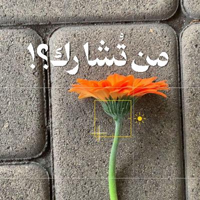 من تُشارك؟!