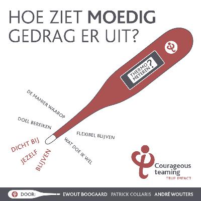 Hoe ziet moedig gedrag er uit?