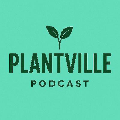 Plantville - Ahead Burghotel