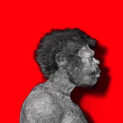 PRÉHISTOIRE : quand la terre du Maroc révèle nos secrets