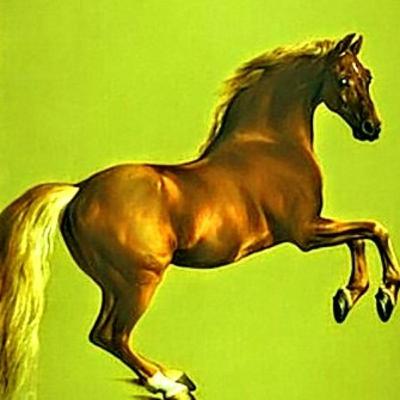 MY KINGDOM FOR A HORSE