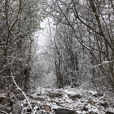 La Magna Presencia #Meditación #Conciencia