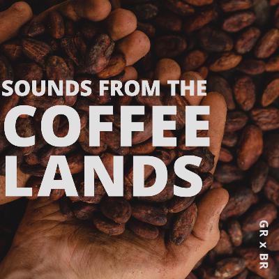 Coffee Lands | Music by Bonga | Los Mirlos | Hailu Mergia | Flowering Inferno | Count Ossie
