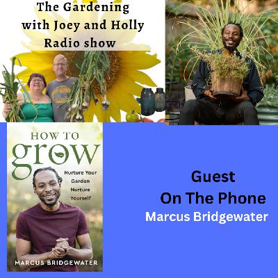 Episode 1492: Seg 3 of S9E33 Guest Marcus Bridgewater - The Gardening with Joey and Holly Radio Show