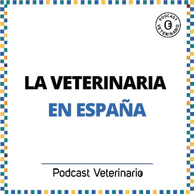 La veterinaria en España
