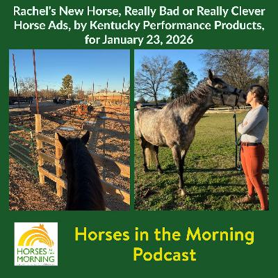 Rachel's New Horse, Really Bad or Really Clever Horse Ads, for January 23, 2026 by Kentucky Performance Products Rachel's New Horse, Really Bad or Really Clever Horse Ads, for January 23, 2026 by Kentucky Performance Products