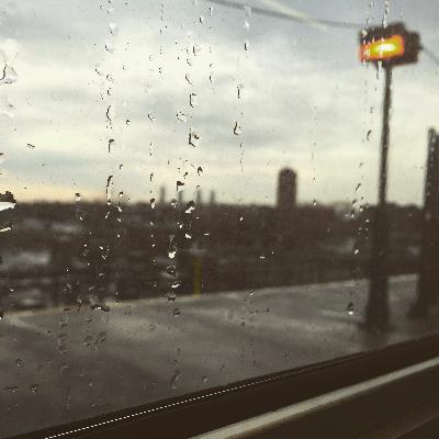 Natural (and Unnatural) Disasters w/ Tanvi Misra Natural (and Unnatural) Disasters w/ Tanvi Misra