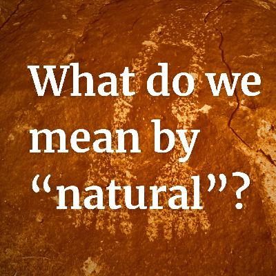 What do we mean by "Natural"?