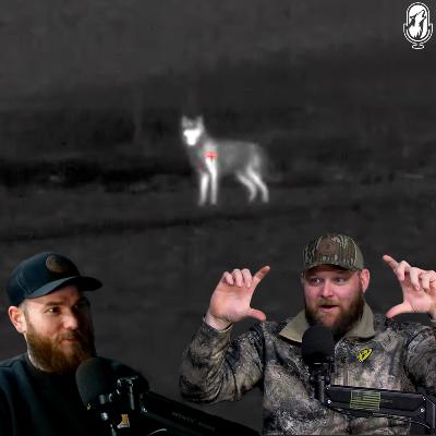 Coyote Breeding Season & Switch from Hornady 95 V-MAX to ELD-VT