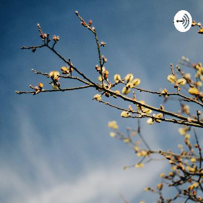 Episode 2... Write off