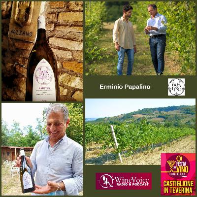 Le Terre del Vino: 40° Festa del Vino Colli del Tevere - PAPALINO (Lazio)