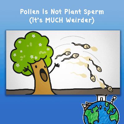 Pollen Is Not Plant Sperm (It’s MUCH Weirder)