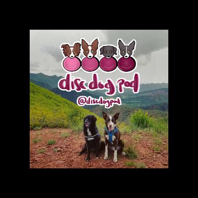 The Evolution of Disc Dog Competitions | Disc Dog Pod Ep. 22