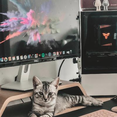 How to keep working from home if that is what you want