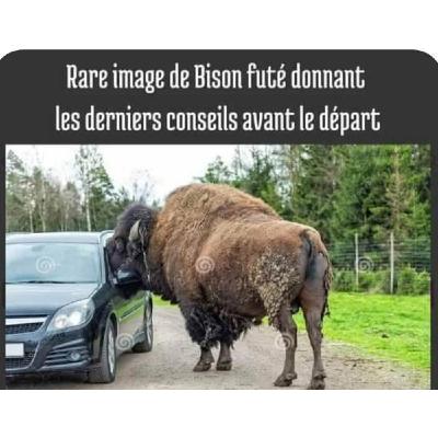 L'ancêtre oublié de Waze et Google Maps