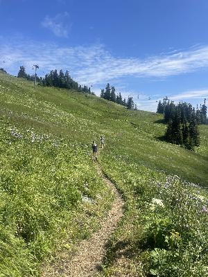 Trail Tips: It almost always never gets worse, sometimes