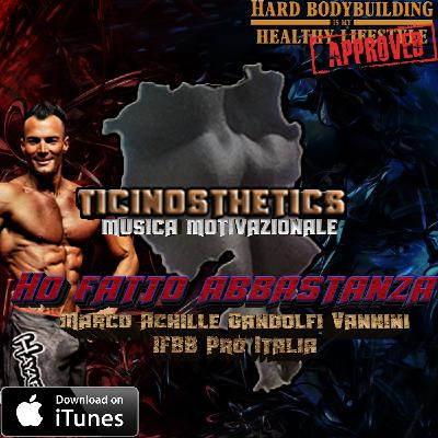 Ticinosthetics Music - Ho fatto abbastanza by Marco Achille Gandolfi Vannini