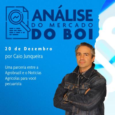 Valores do mercado do boi seguem estáveis entre R$ 245,00 a R$ 250,00 no físico, revela analista