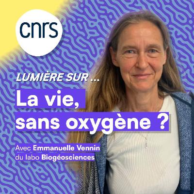 Lumière sur... La vie, sans oxygène ?