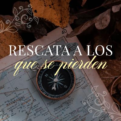 Buscando en todos lados