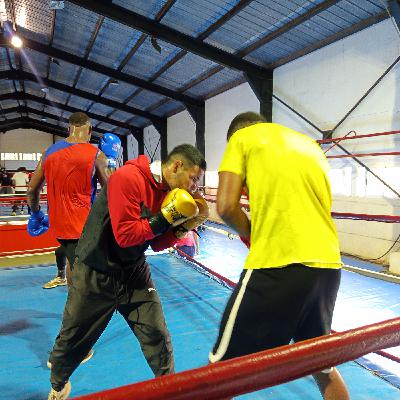 Púgiles cubanos buscarán clasificación a Santo Domingo 2026