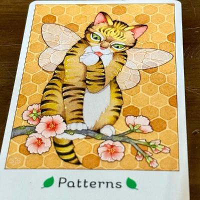 785【猫オラクルカード】1/19〜1/25のメッセージ『パターン』